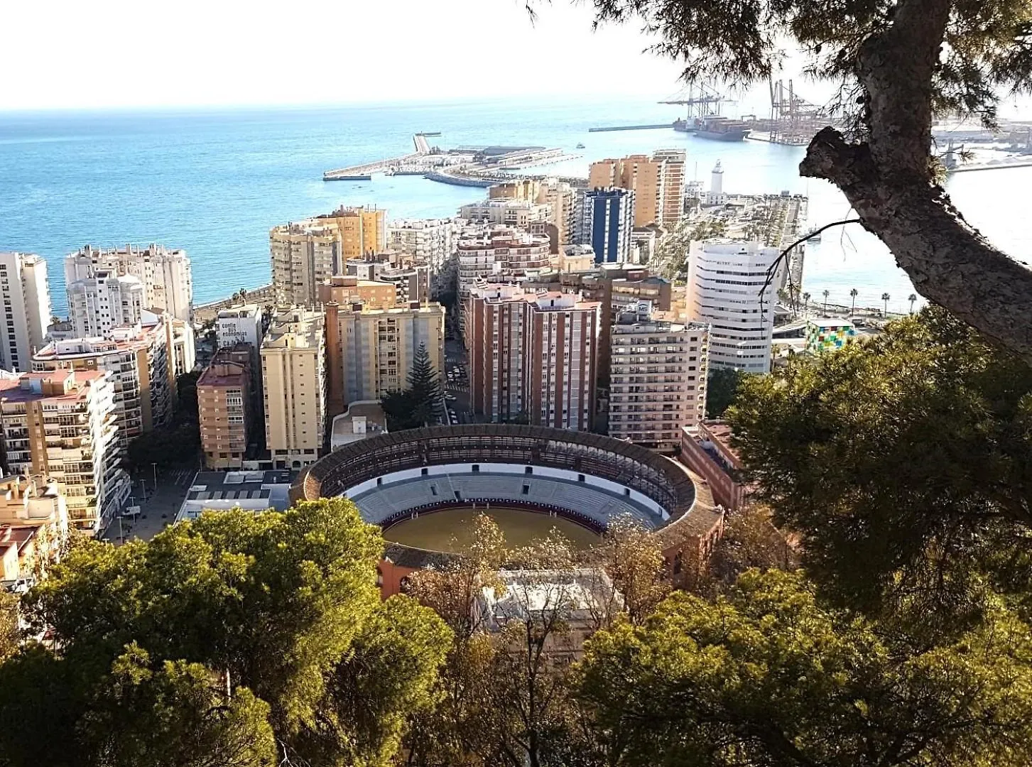Ruby Malagueta Apartment Malaga Spain